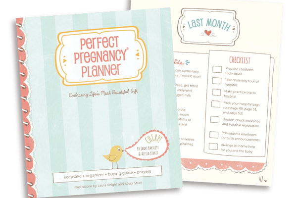 Perfect Pregnancy Planner: Your Ultimate Companion for a Stress-Free Journey to Motherhood