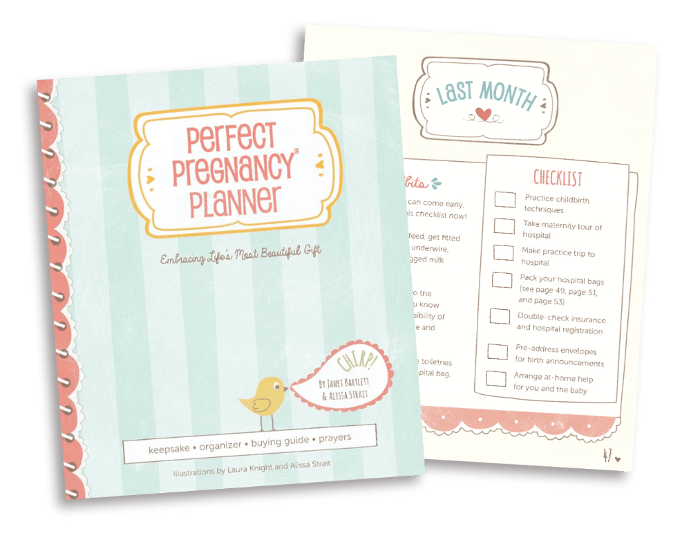 Perfect Pregnancy Planner: Your Ultimate Companion for a Stress-Free Journey to Motherhood