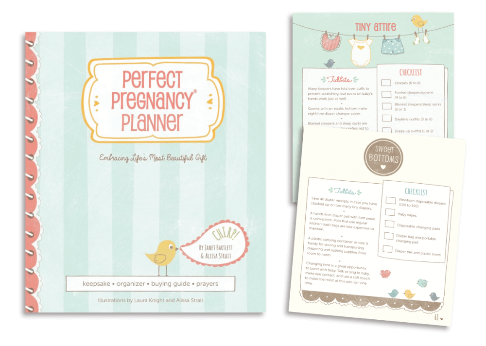 Perfect Pregnancy Planner